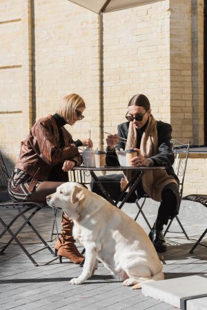 glückliches Paar isst asiatisches Essen in der Nähe von Kaffee to go, während es mit Labrador im Outdoor-Café sitzt 
