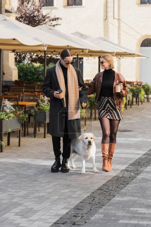 full length of stylish couple in sunglasses holding paper cups while walking with dog 
