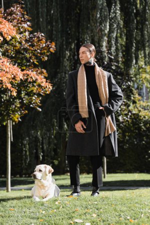 voller Länge tätowierter Mann in stylischem Mantel und Schal, der mit der Hand in der Tasche neben Labrador im Park steht 