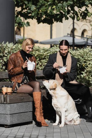 Téléchargez les photos : Happy young couple eating takeaway asian food while sitting on bench near labrador - en image libre de droit