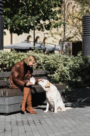 volle Länge der lächelnden blonden Frau in Lederjacke hält Imbissbox mit asiatischem Essen und Kuschelhund 
