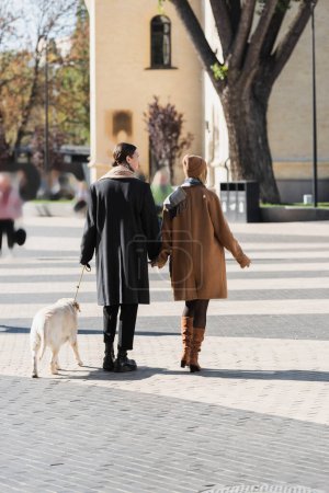 full length of young couple in spring clothes holding hands while walking with dog 