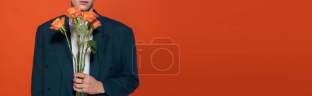 Photo for Cropped view of man in blazer holding orange roses for 8 march isolated on red, banner - Royalty Free Image