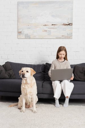 full length of positive girl using laptop on sofa near labrador dog sitting on floor carpet in living room