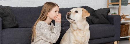 preteen girl covering mouth with hand while telling secret to labrador dog at home, banner