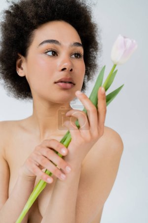 Retrato de mujer afroamericana con hombros desnudos mirando tulipán aislado en gris 