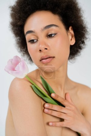 Retrato de mujer afroamericana sin camisa sosteniendo tulipán aislado en gris 