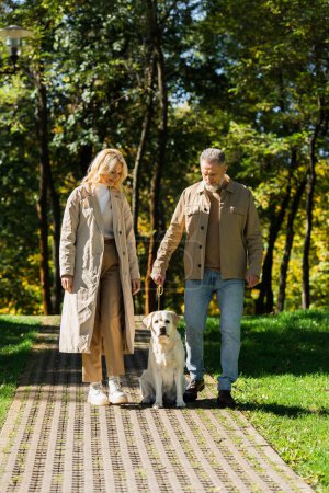 Positive middle aged couple walking with labrador in spring park 