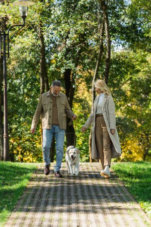Positive woman in trench coat walking near husband and labrador in park 