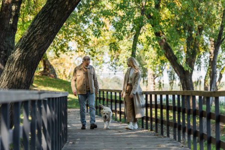 Middle aged couple with labrador walking on bridge in spring park at daytime 