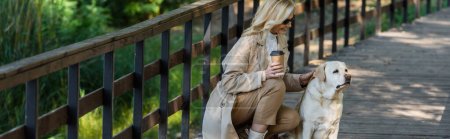 Cheerful blonde woman holding coffee to go and petting labrador on bridge in park, banner 