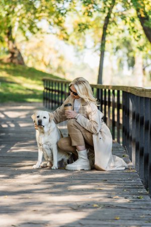 Foto de Mujer madura en gafas de sol sosteniendo café para ir cerca de labrador en puente en parque - Imagen libre de derechos