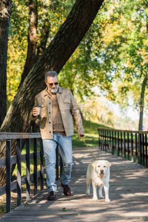 Foto de Sonriente hombre de mediana edad en gafas de sol sosteniendo café para ir y caminar con labrador en parque - Imagen libre de derechos
