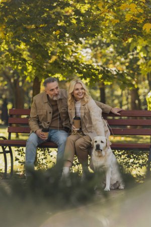 Photo for Positive mature couple holding takeaway coffee while sitting on bench near labrador in park - Royalty Free Image