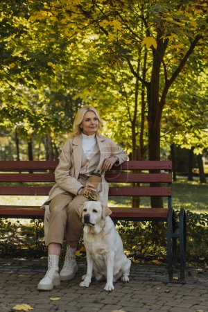 Téléchargez les photos : Femme blonde en trench coat tenant du café à emporter assise sur un banc près du labrador - en image libre de droit