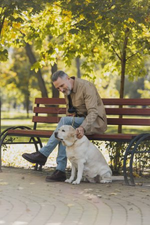 Smiling mature man holding coffee to go and petting labrador in park 