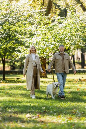 Foto de Feliz pareja madura con labrador mirando a la cámara mientras camina sobre el césped en el parque - Imagen libre de derechos