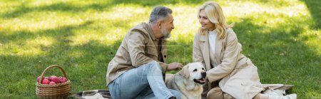 happy middle aged couple looking at each other while petting labrador during picnic in park, banner 