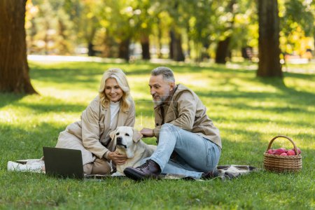 happy middle aged couple watching movie on laptop near labrador dog during picnic in park 