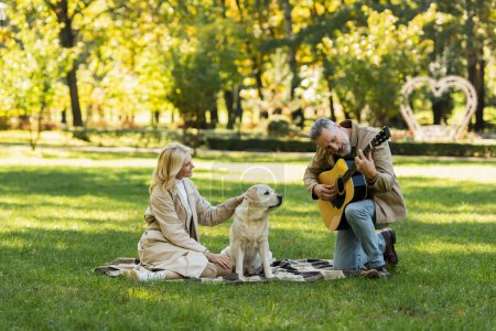 homme d'âge moyen barbu jouant de la guitare acoustique près de la femme caressant chien labrador pendant le pique-nique dans le parc 