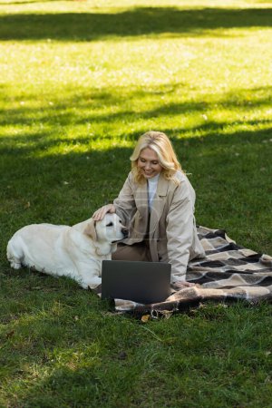 happy middle aged woman petting labrador dog while watching movie on laptop and sitting on blanket in park 