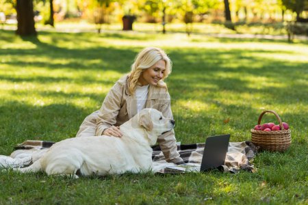 wesoła kobieta pieszczoty labrador pies podczas oglądania filmu na laptopie i siedzi na kocu w parku 
