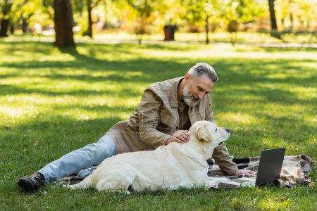 glücklicher Mann mittleren Alters mit grauem Bart streichelt Labrador-Hund, während er beim Picknick im Park einen Film auf dem Laptop anschaut 