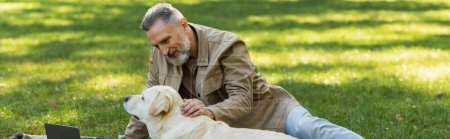happy middle aged man with grey beard petting labrador dog in park, banner 