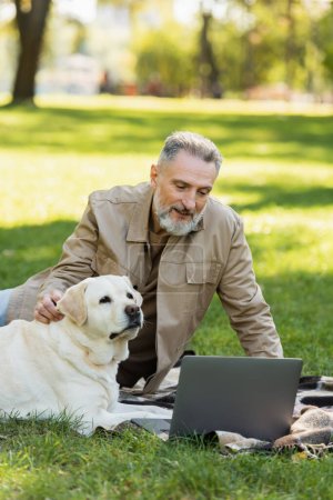 zufriedener Mann mittleren Alters mit grauem Bart kuschelt Labrador-Hund, während er beim Picknick im Park Film auf Laptop anschaut 