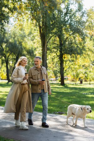 fröhliches Paar mittleren Alters, das im Frühling Kaffee trinkt und mit Labrador-Hund im Park spazieren geht 