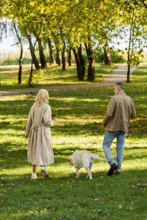 Rückansicht eines Paares mittleren Alters, das im Frühling mit Labrador-Hund im Park spazieren geht 