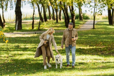 Foto de Pareja de mediana edad llena de alegría sosteniendo café para ir y caminar con perro labrador en el parque durante la primavera - Imagen libre de derechos