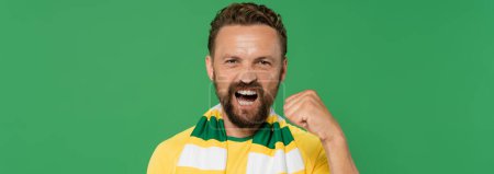Emotionaler Fußballfan in gestreiftem Schal und gelbem T-Shirt blickt in die Kamera und zeigt Machtgeste isoliert auf grünem Banner 