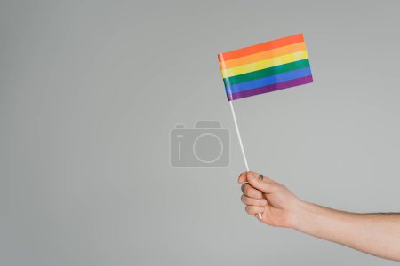 Vue recadrée d'un homme homosexuel tenant le drapeau lgbt isolé sur gris avec espace de copie, Journée internationale contre l'homophobie  