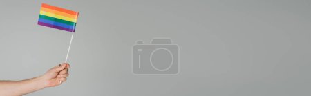 Photo for Cropped view of homosexual man holding lgbt flag isolated on grey, banner - Royalty Free Image