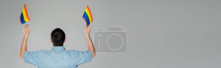 Back view of young gay man holding lgbt flags isolated on grey, banner 