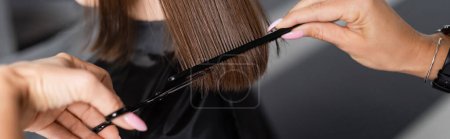 Photo for Haircut, cropped view of hairdresser cutting short brunette hair of female client, holding scissors and comb, professional, beauty worker, hairdo, salon job, salon customer, banner - Royalty Free Image