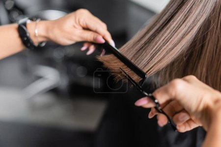 Photo for Close up of scissors and comb, salon hair tools, cropped view of professional hairdresser cutting short brunette hair of woman, beauty worker, haircut, beauty salon work, hairdo - Royalty Free Image