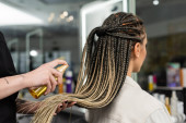 client satisfaction, hair salon, tattooed hairdresser applying hair product on braids of woman in salon, spray bottle, happy beauty worker,  salon customer, beauty worker, back view, crop  Stickers #660917432