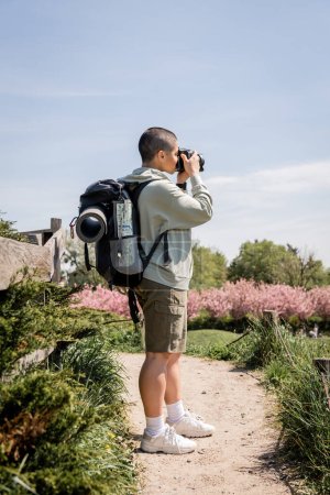 Photo for Side view of short haired and young female travel photographer taking photo on digital camera and standing on scenic nature at background, travel photographer, trekking through landscape, summer - Royalty Free Image