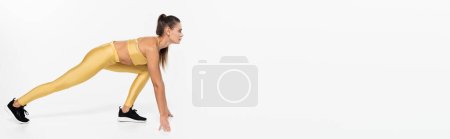 Photo for Fit sportswoman in sneakers training on white background, banner, physical activity concept, banner - Royalty Free Image