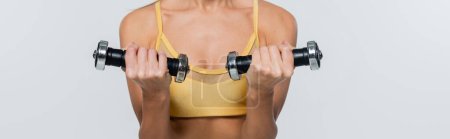 cropped, active lifestyle, woman exercising with dumbbells, white background, active wear, banner