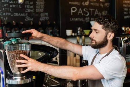 bearded barista in apron using coffee grinder near machine while working in coffee shop