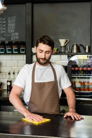 bearded barista in apron cleaning bar and holding rag while working in coffee shop