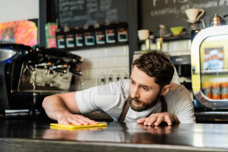 Foto de Barista barbudo enfocado en la barra de limpieza del delantal y sosteniendo el trapo mientras trabaja en la cafetería - Imagen libre de derechos