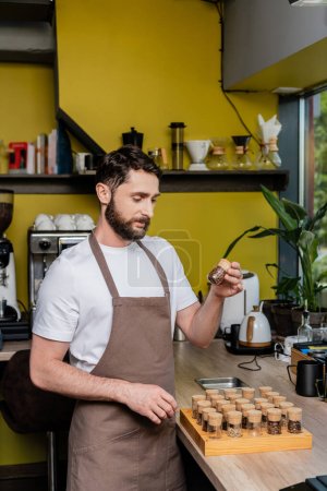 bearded barista in apron choosing coffee beans near jars on workshop in coffee shop