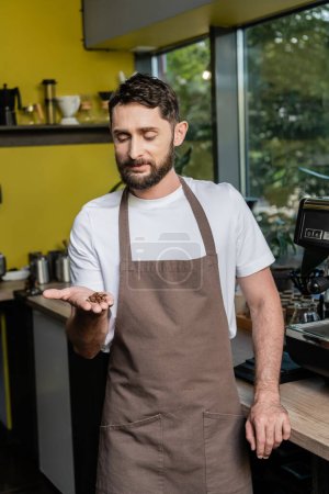 Barista barbudo en delantal sosteniendo granos de café mientras trabajaba en una cafetería borrosa en el fondo