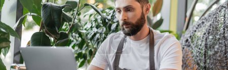 bearded barista in apron using laptop while sitting near plants and working in coffee shop, banner