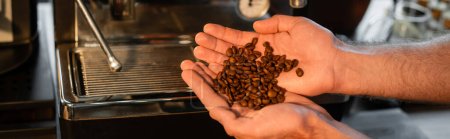 Téléchargez les photos : Vue recadrée du barista tenant des grains de café près de la machine à café floue dans le café, bannière - en image libre de droit