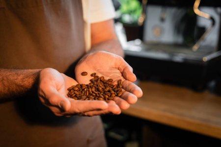 Vista recortada de barista en delantal sosteniendo granos de café mientras trabajaba en una cafetería borrosa